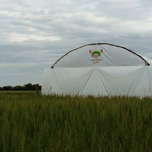 Sistema Cama Profunda