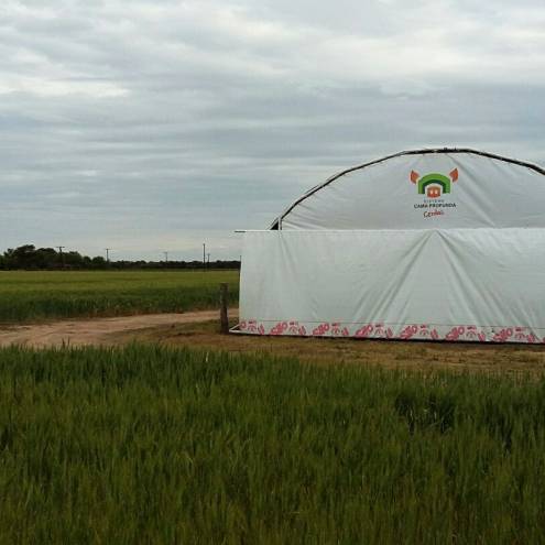 Sistema Cama Profunda