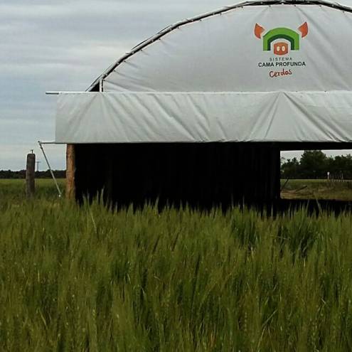 Sistema Cama Profunda