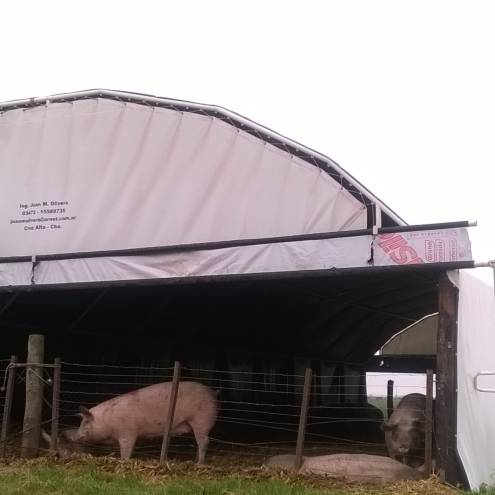 Sistema Cama Profunda