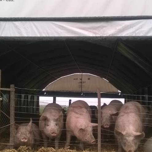 Sistema Cama Profunda