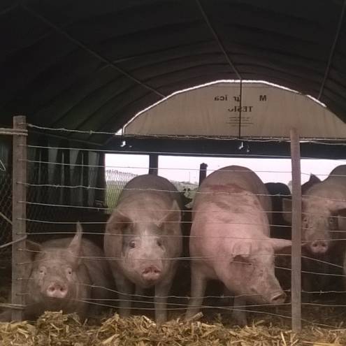 Sistema Cama Profunda