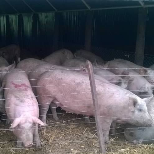 Sistema Cama Profunda